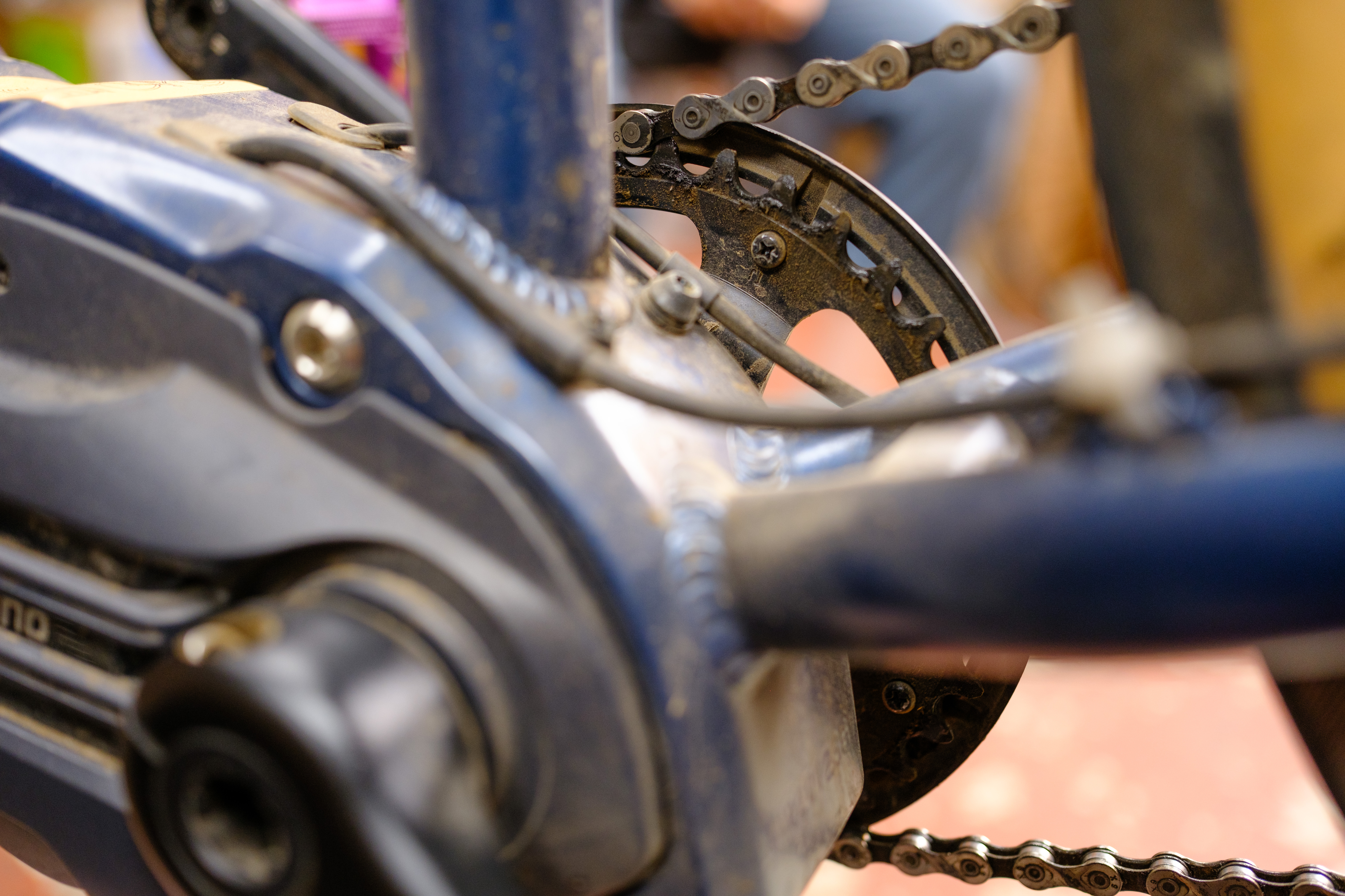 The inboard face of a chainring showing the screw that mounts the chain guard