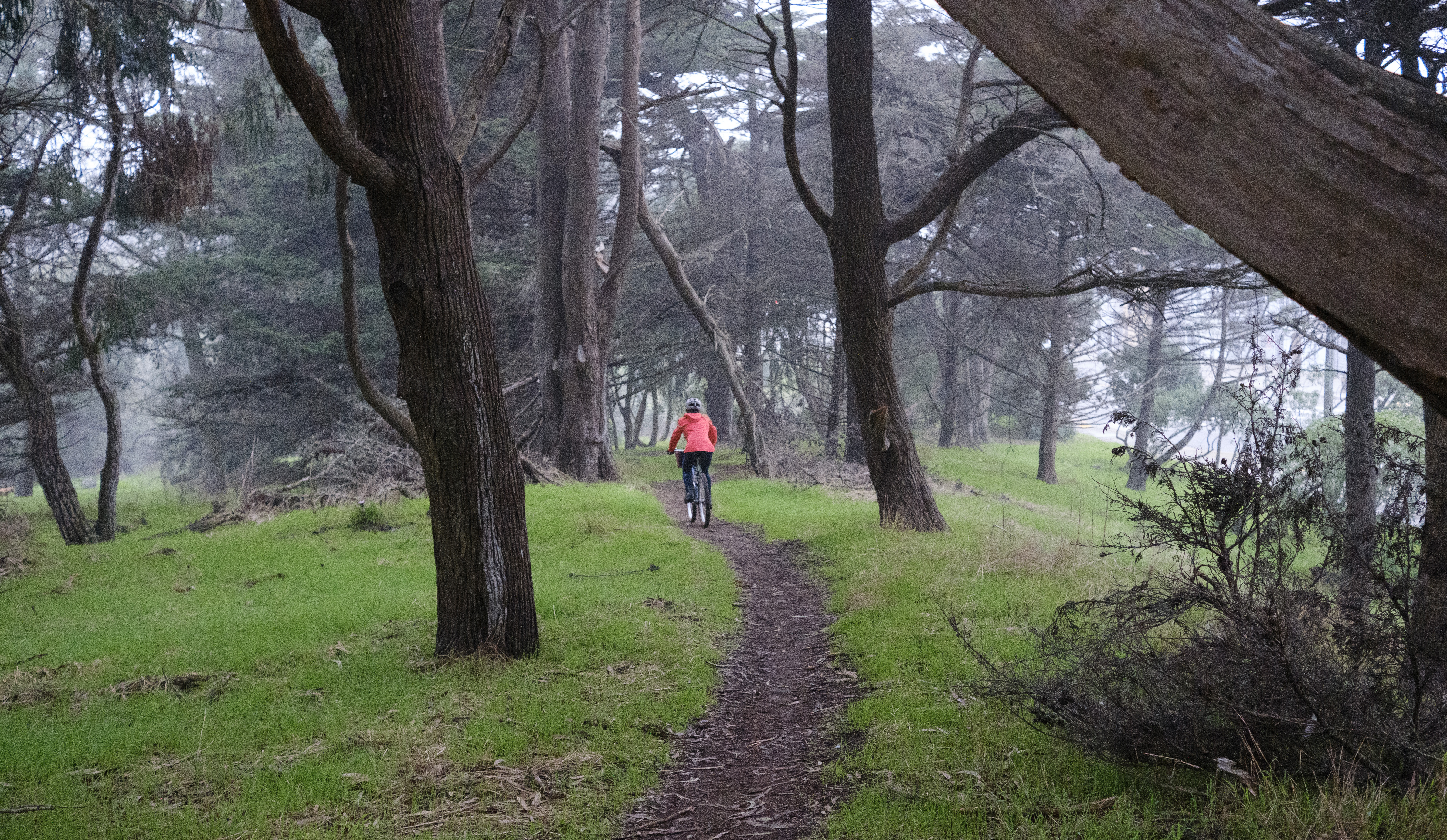 Kat riding her BB-1 on some sligtly winding single track in a misty forest.