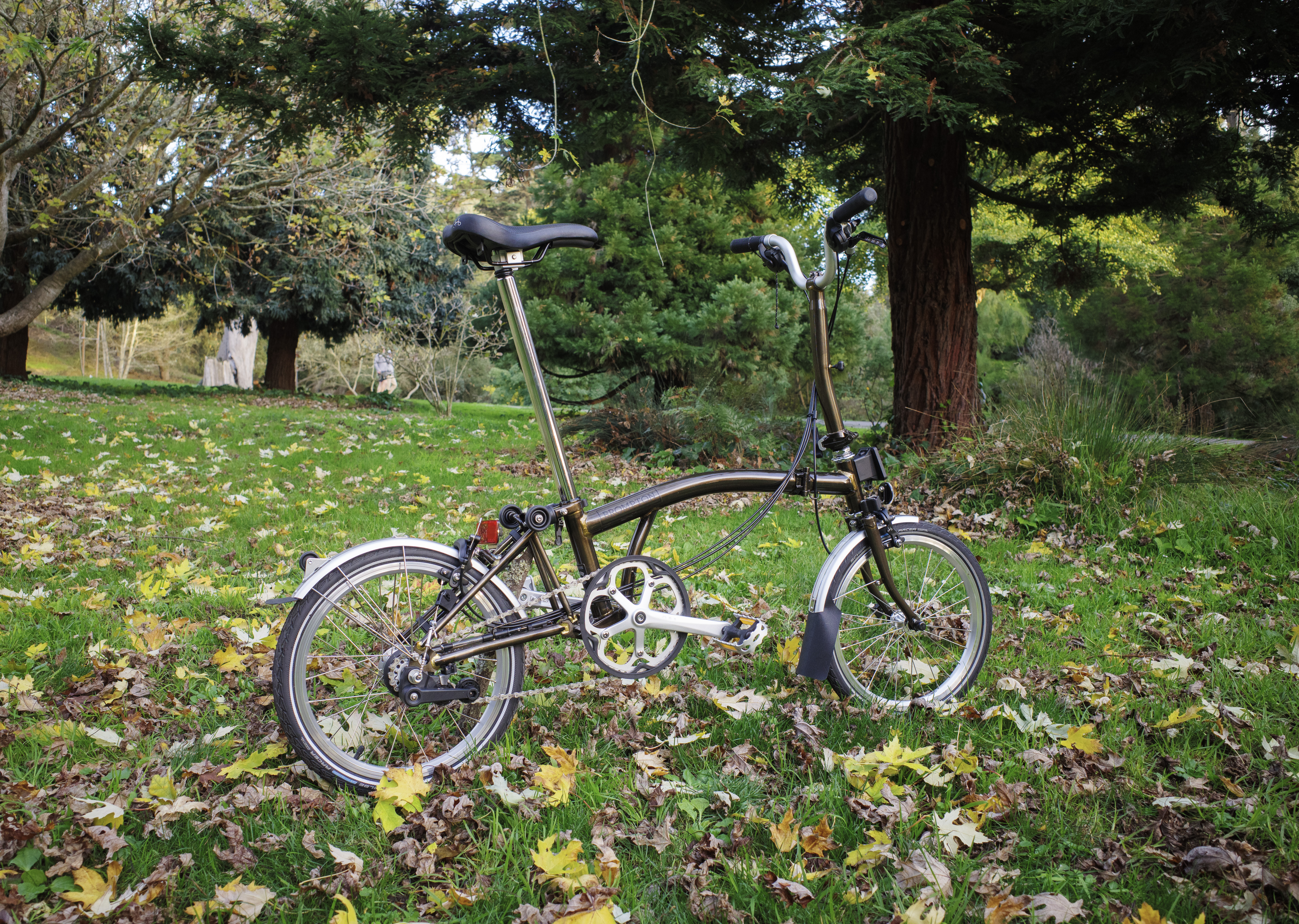 A Brompton C Line Explore in Black Lacquer standing on green grass surrounded by maple leafs.