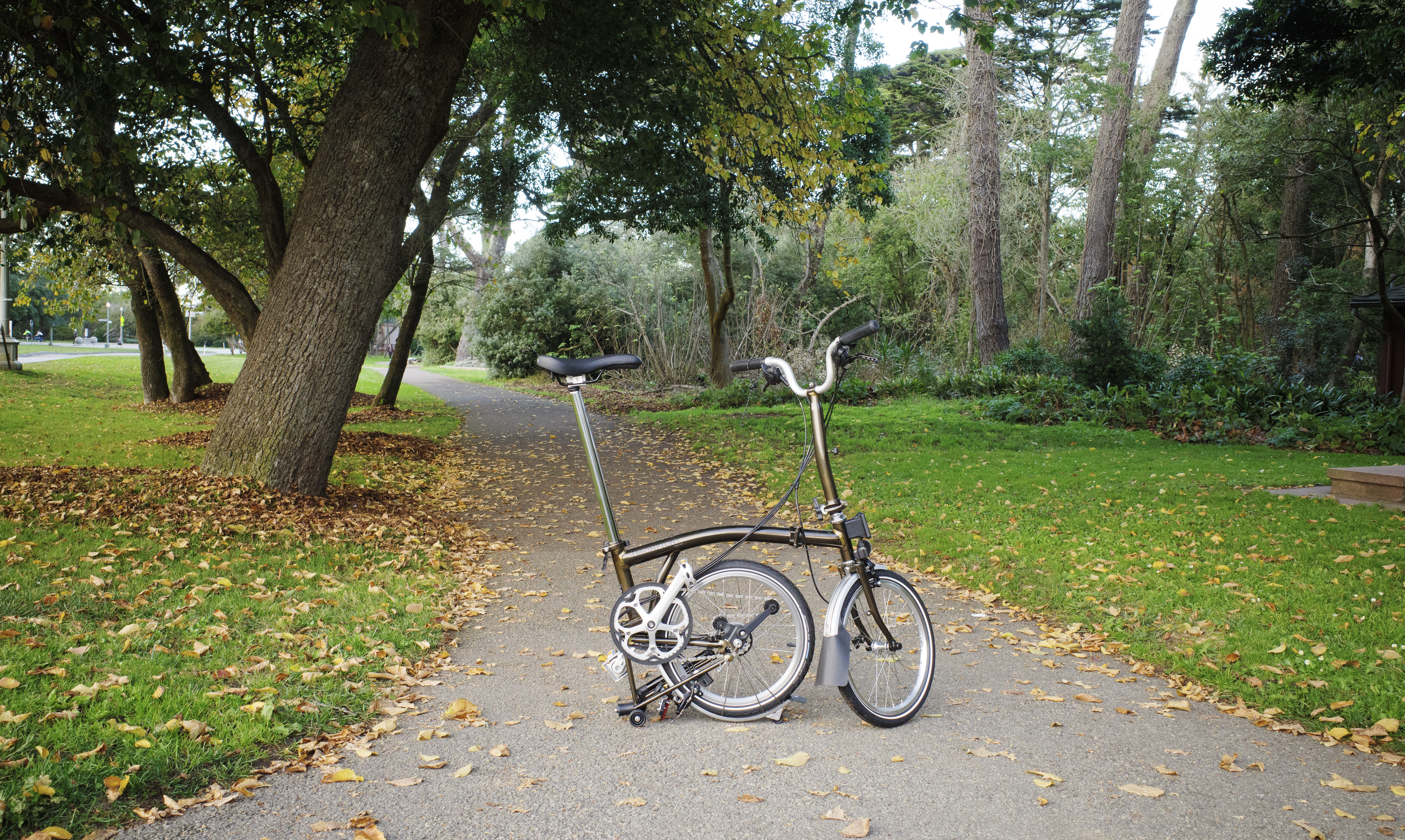 A Brompton on a wooded path with its rear triangle folded up in 'parking' position.