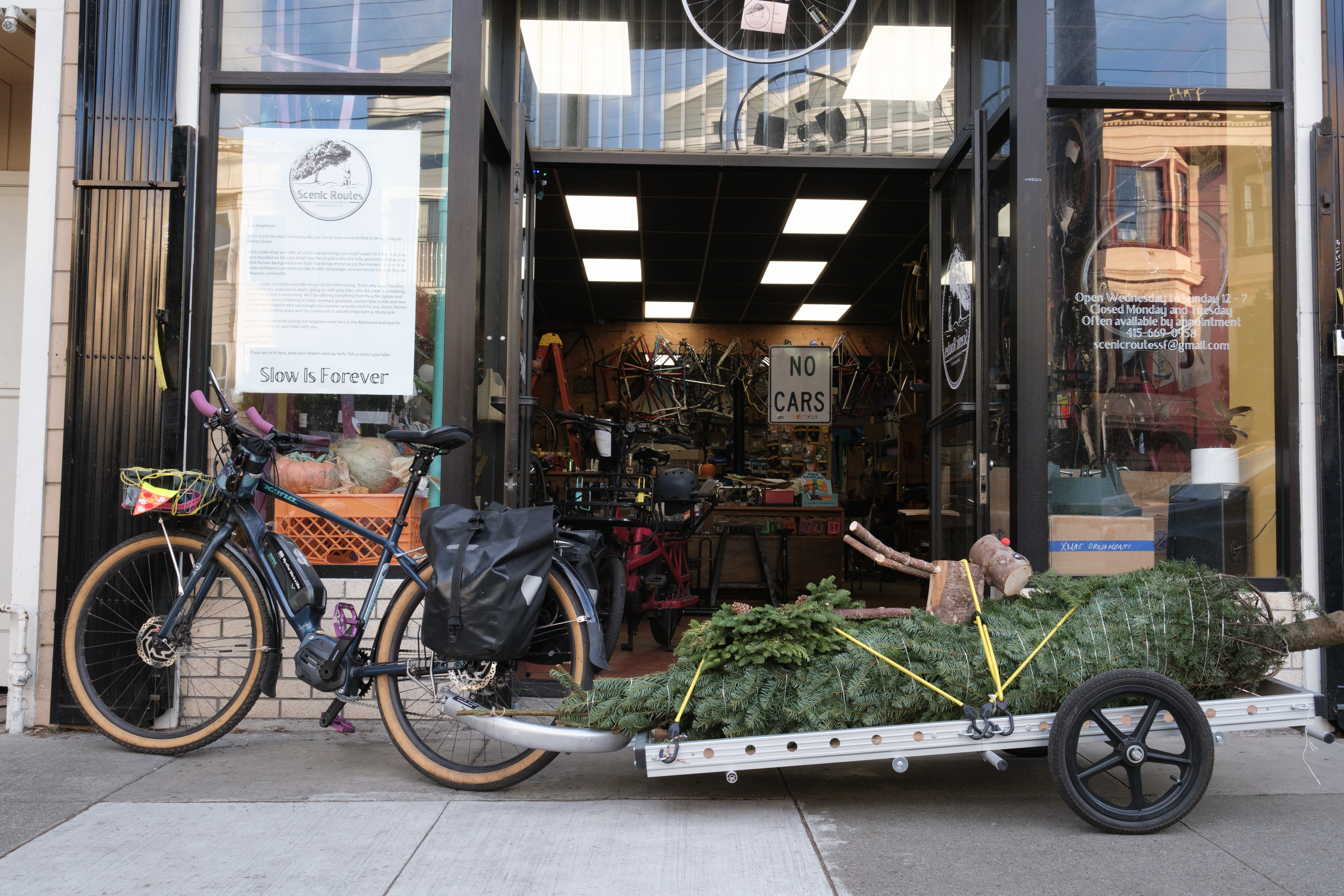 The Christmas tree on the 6 foot trailer in front of Scenic Routes Community Bicycle Center. A large 'No Cars' sign is hung in the background