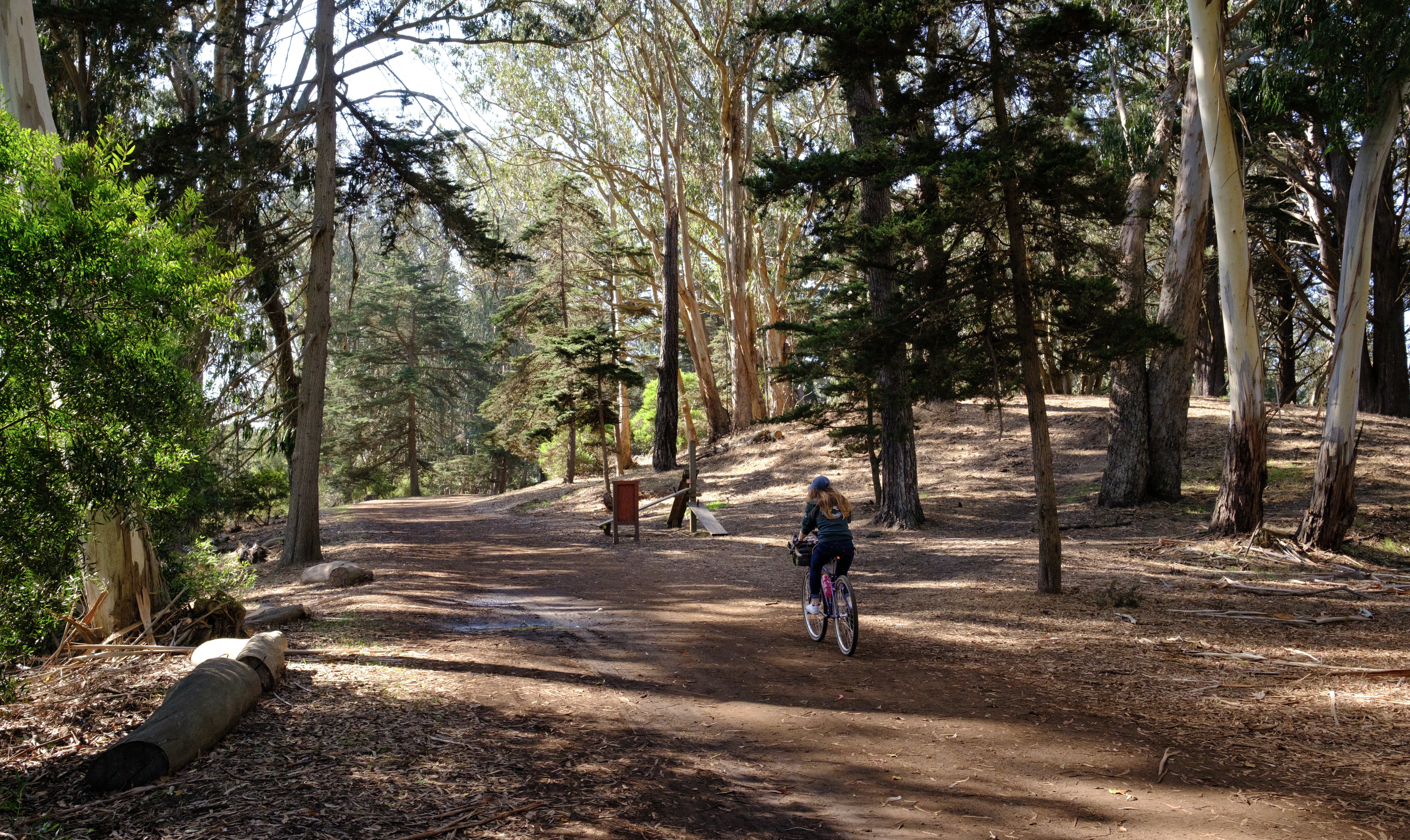Kat riding down a forest-y trail off of JFK.