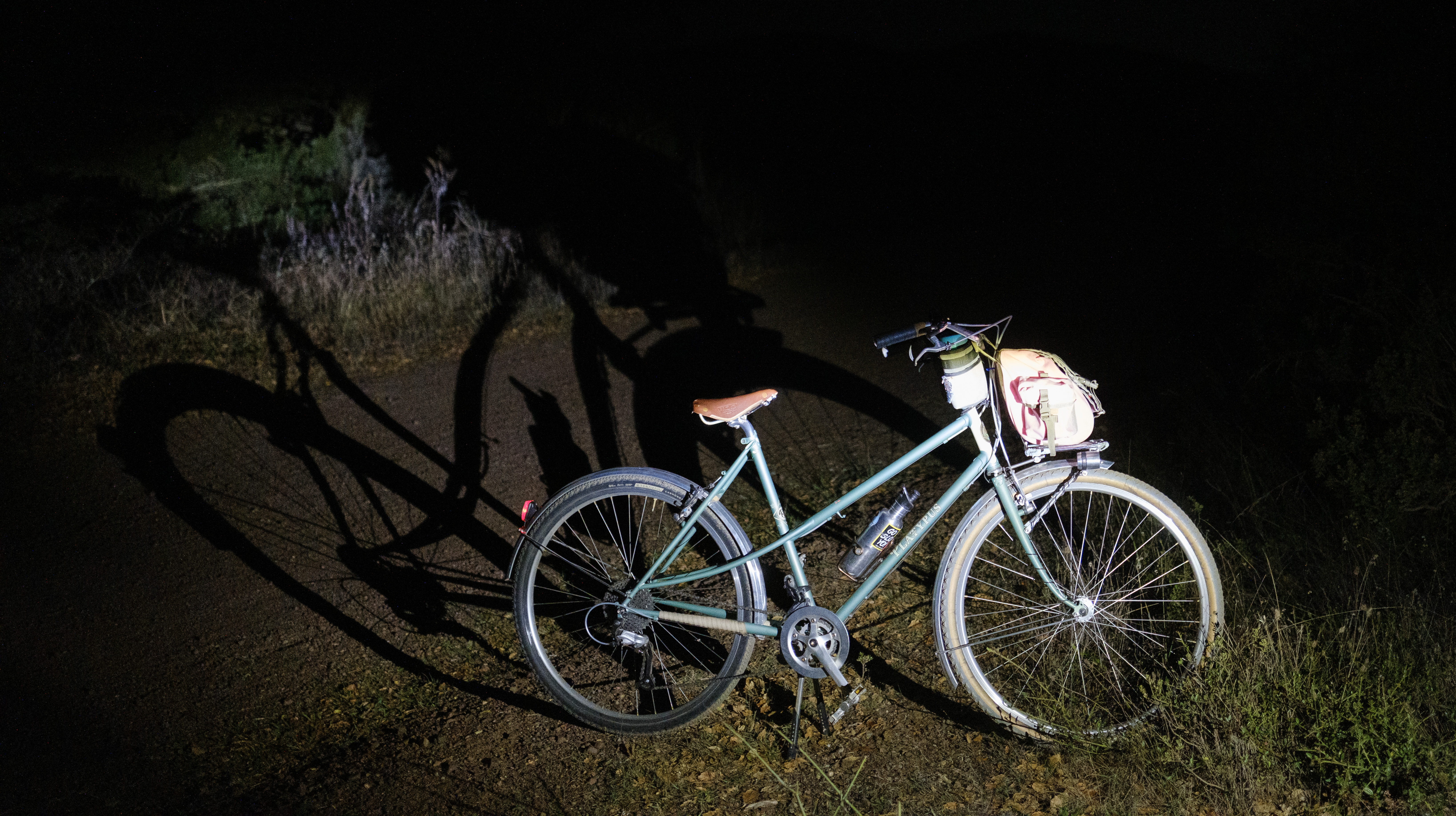 A Rivendell Platypus in the dark and its exaggerated shadow on the trail