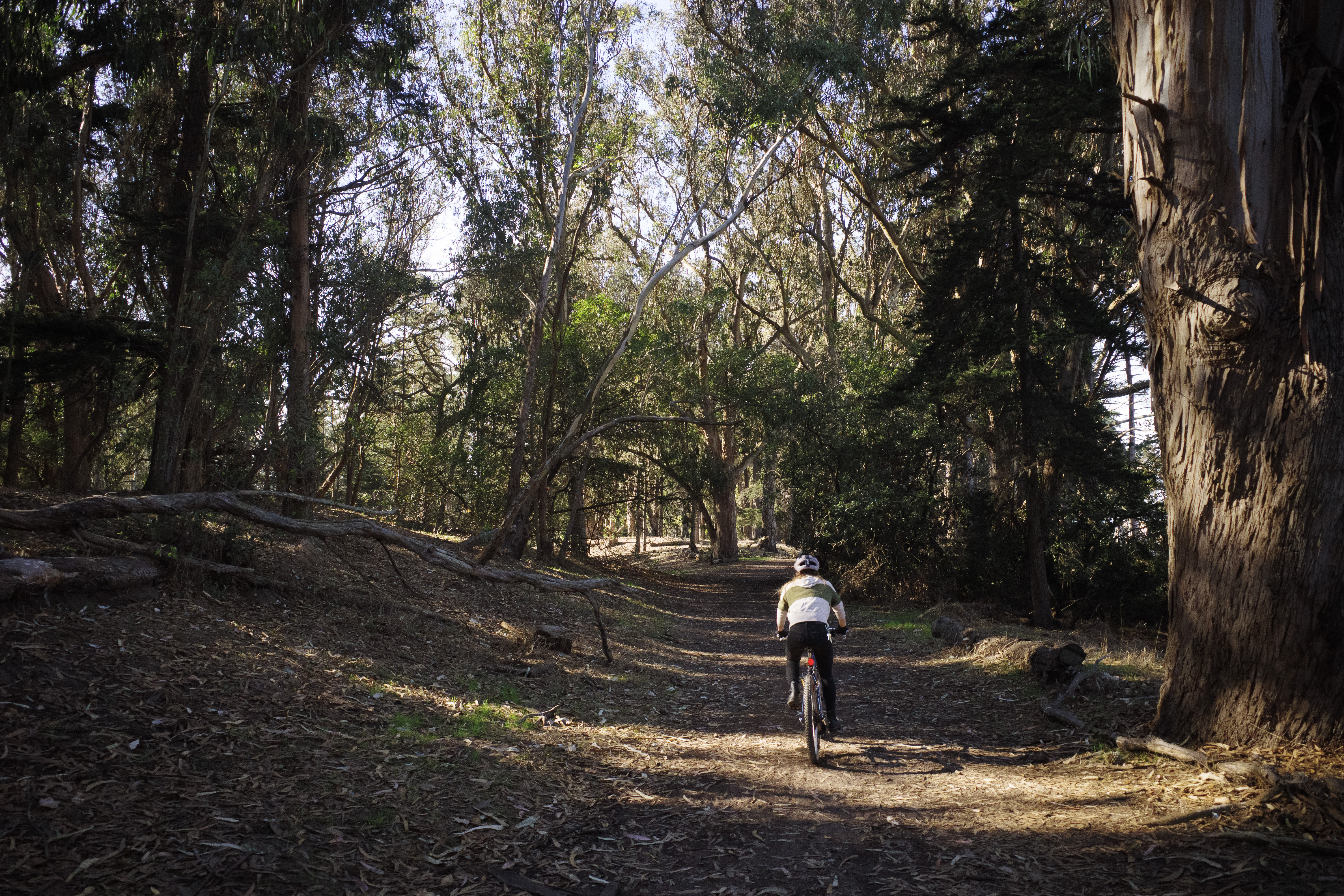 Kat in her green colorblock sweater biking around a bunch of eucalyptus trees