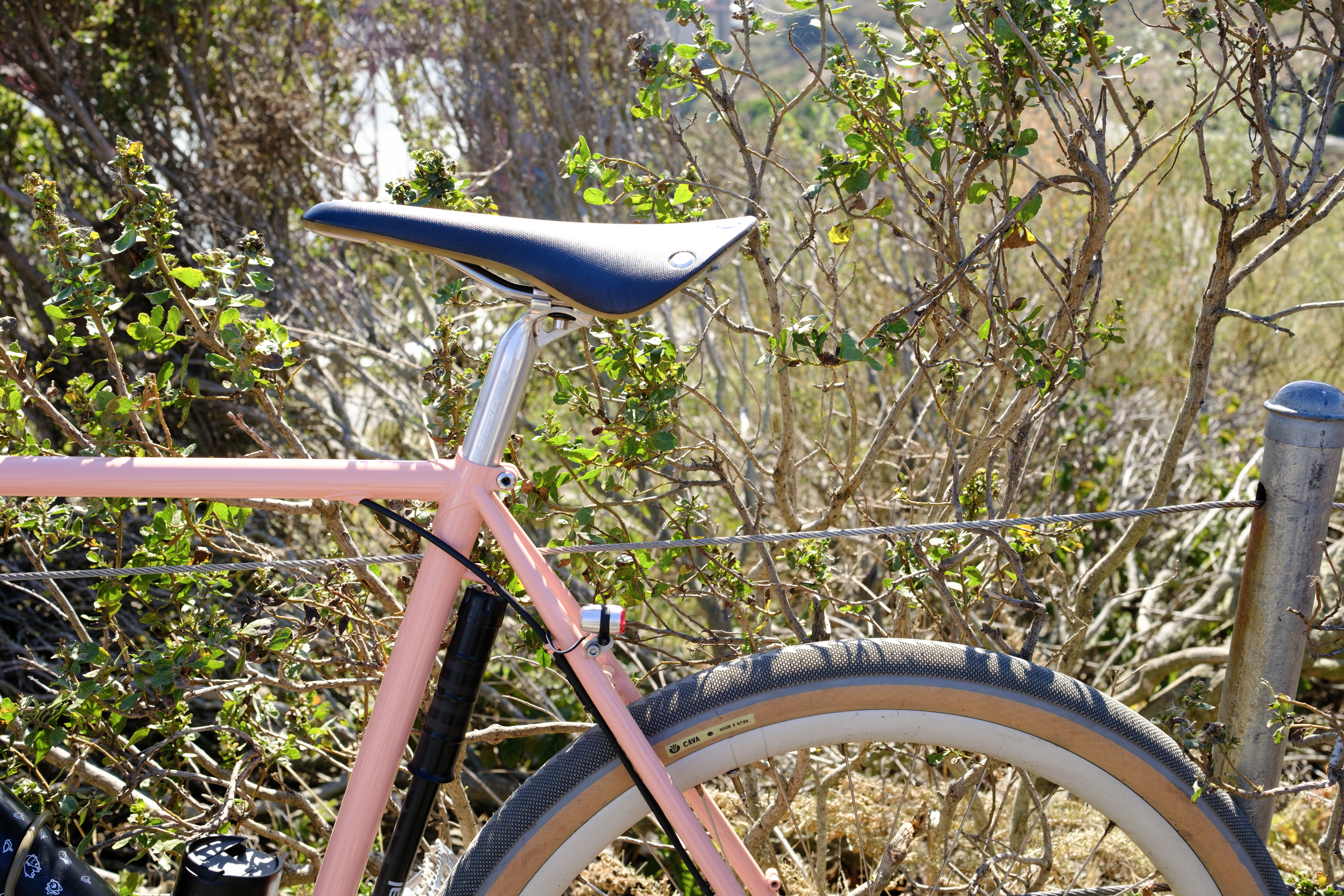 The back of Ben's Crust Romanceur featuring his Busch&Muller rear dynamo light and frame pump