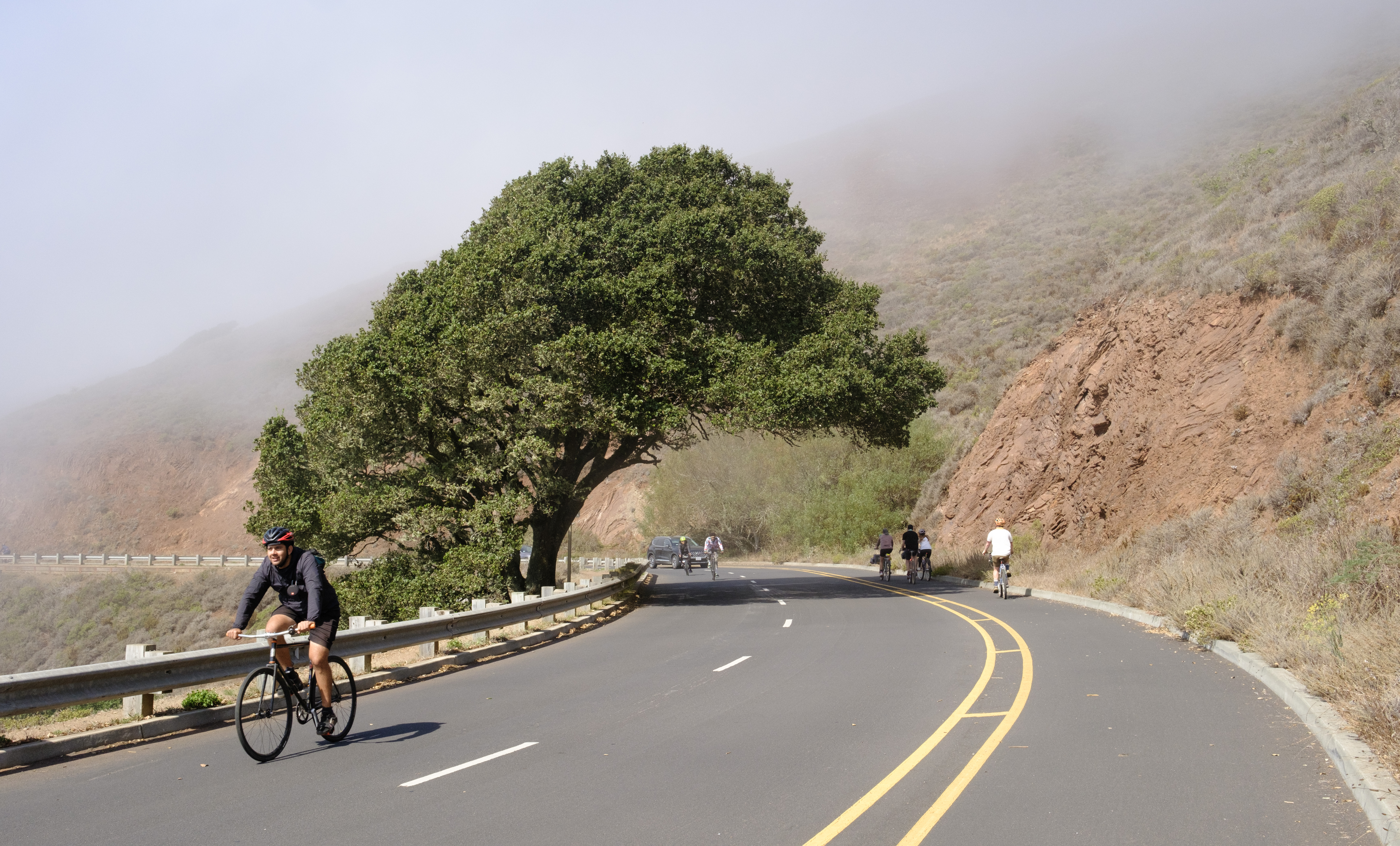 A curved road with a lone tree hanging over the apex of the turn. A cyclist on a single speed bike is leaving the frame and my group of friends is biking away