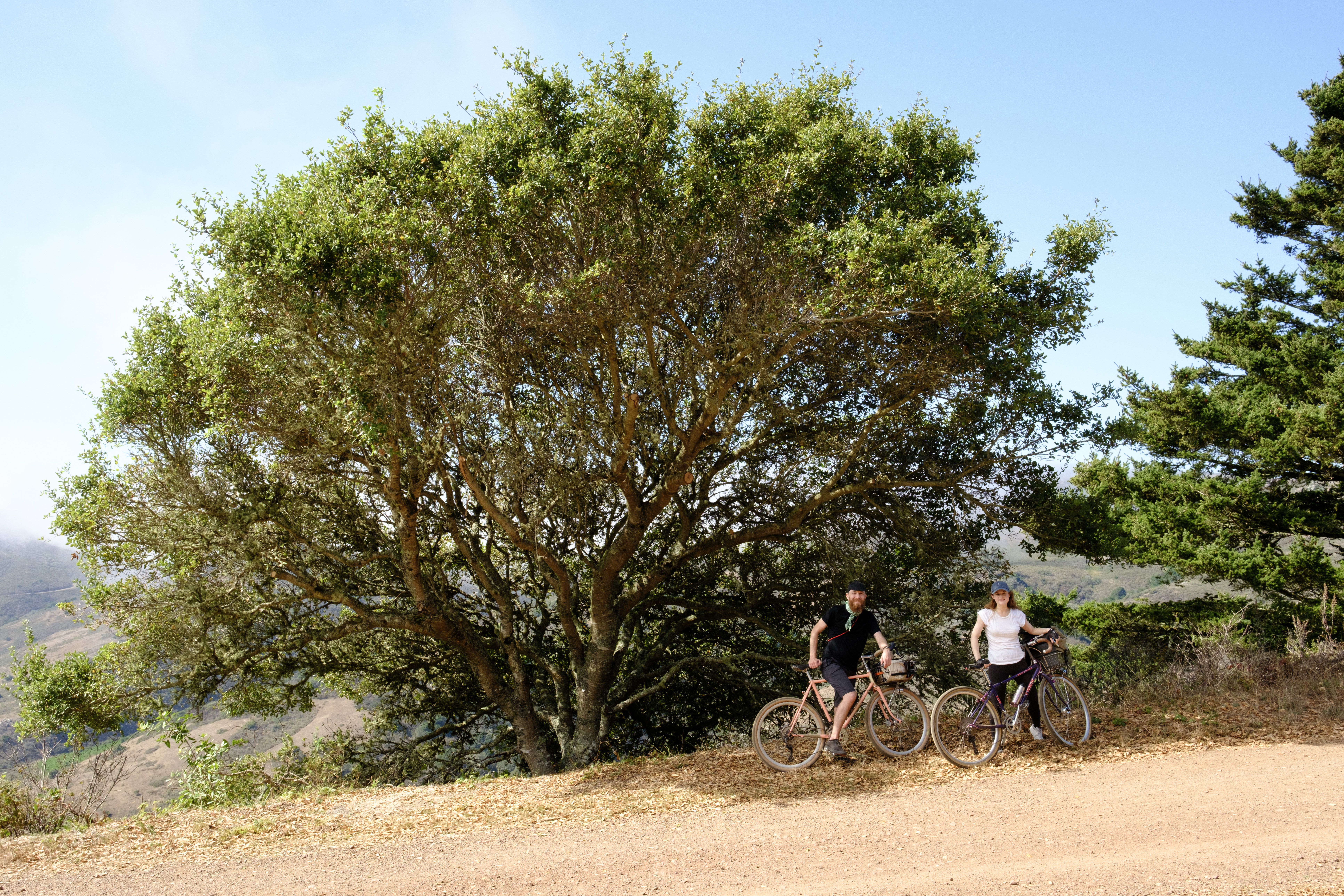 Kat and Ben standing in front of the oak tree from the Scenic Routes logo.