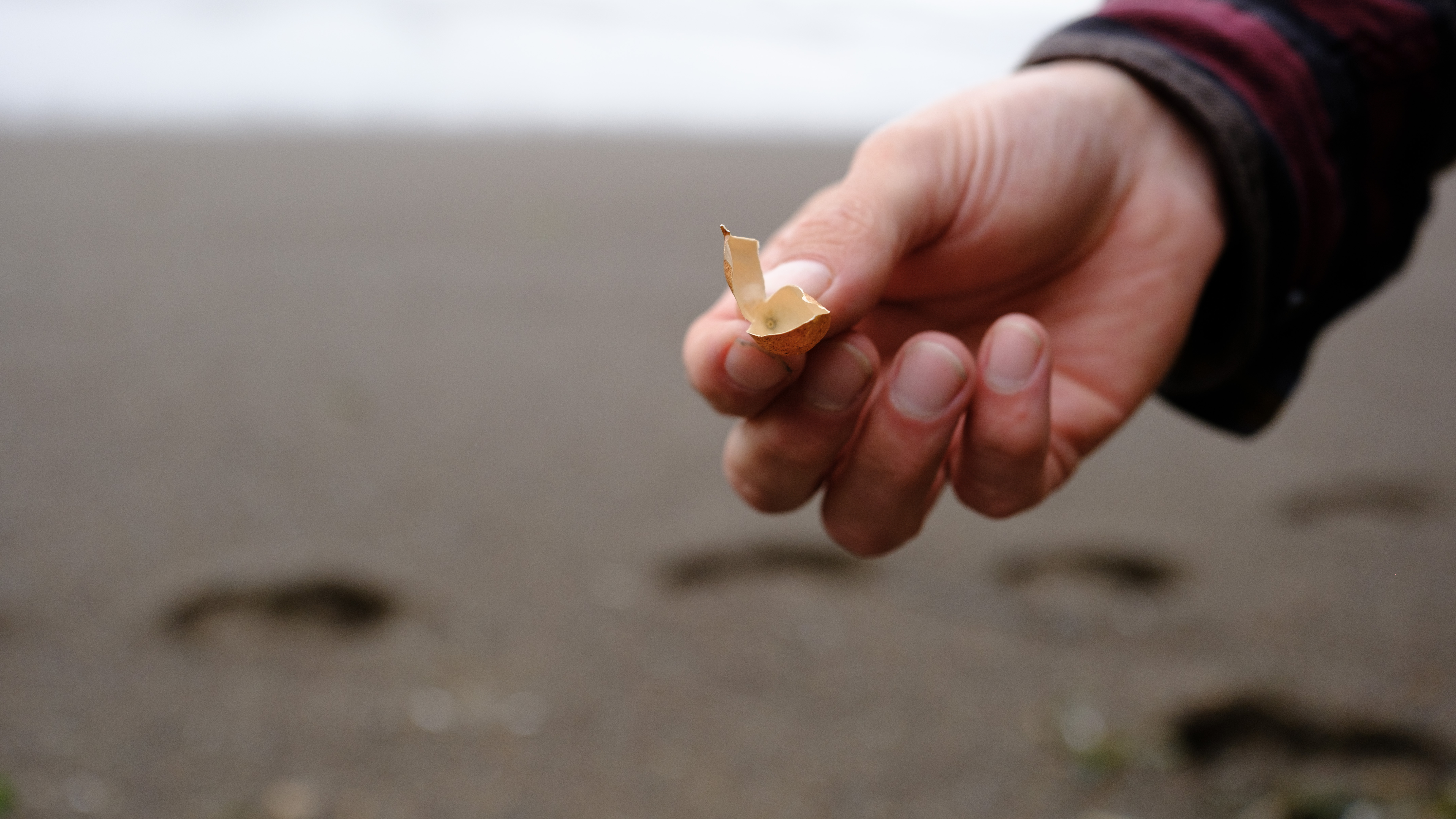 Jerry holding an empty pod from some plant matter we couldn't identify.