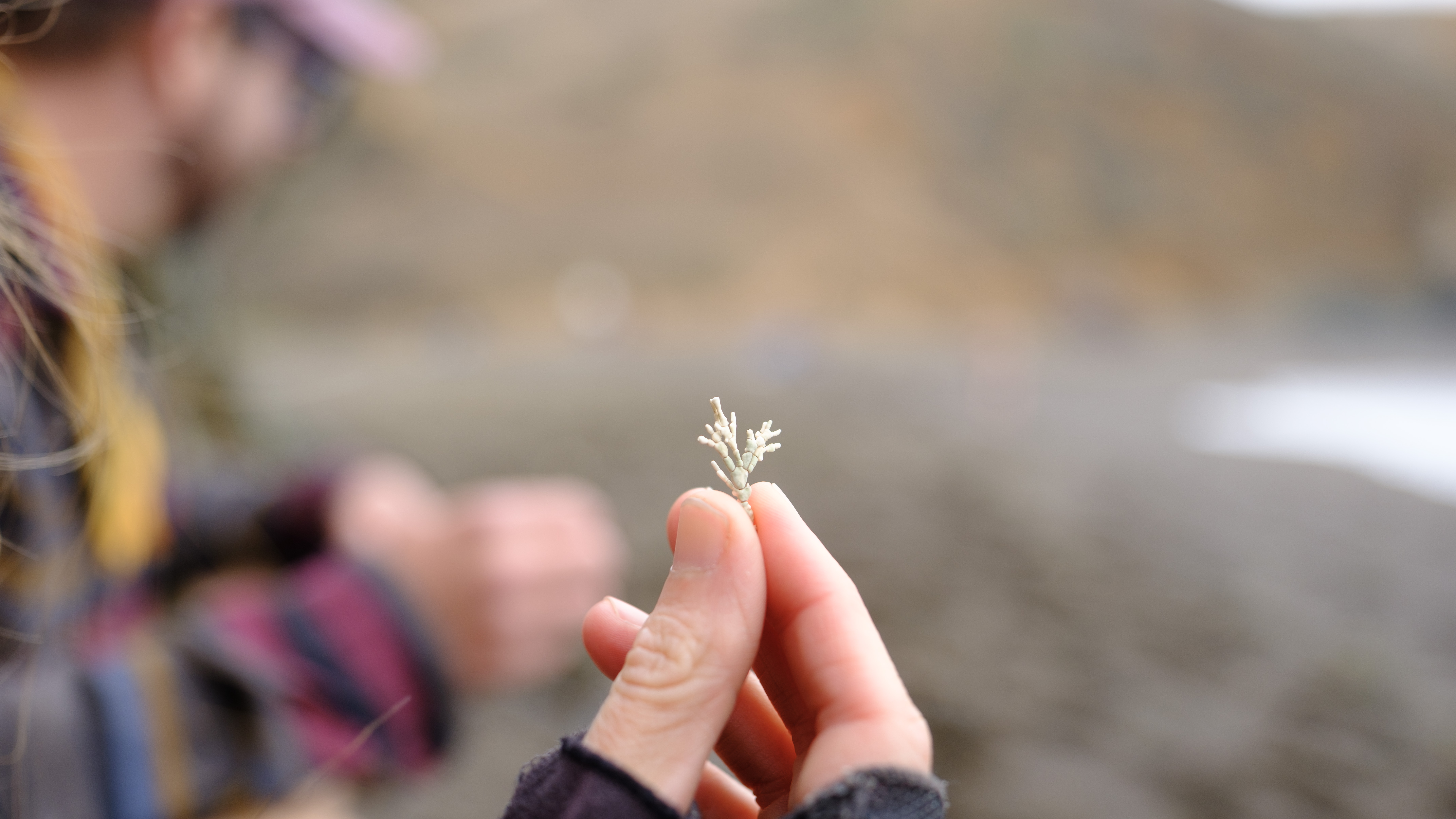 Kat holding a fun marine structure