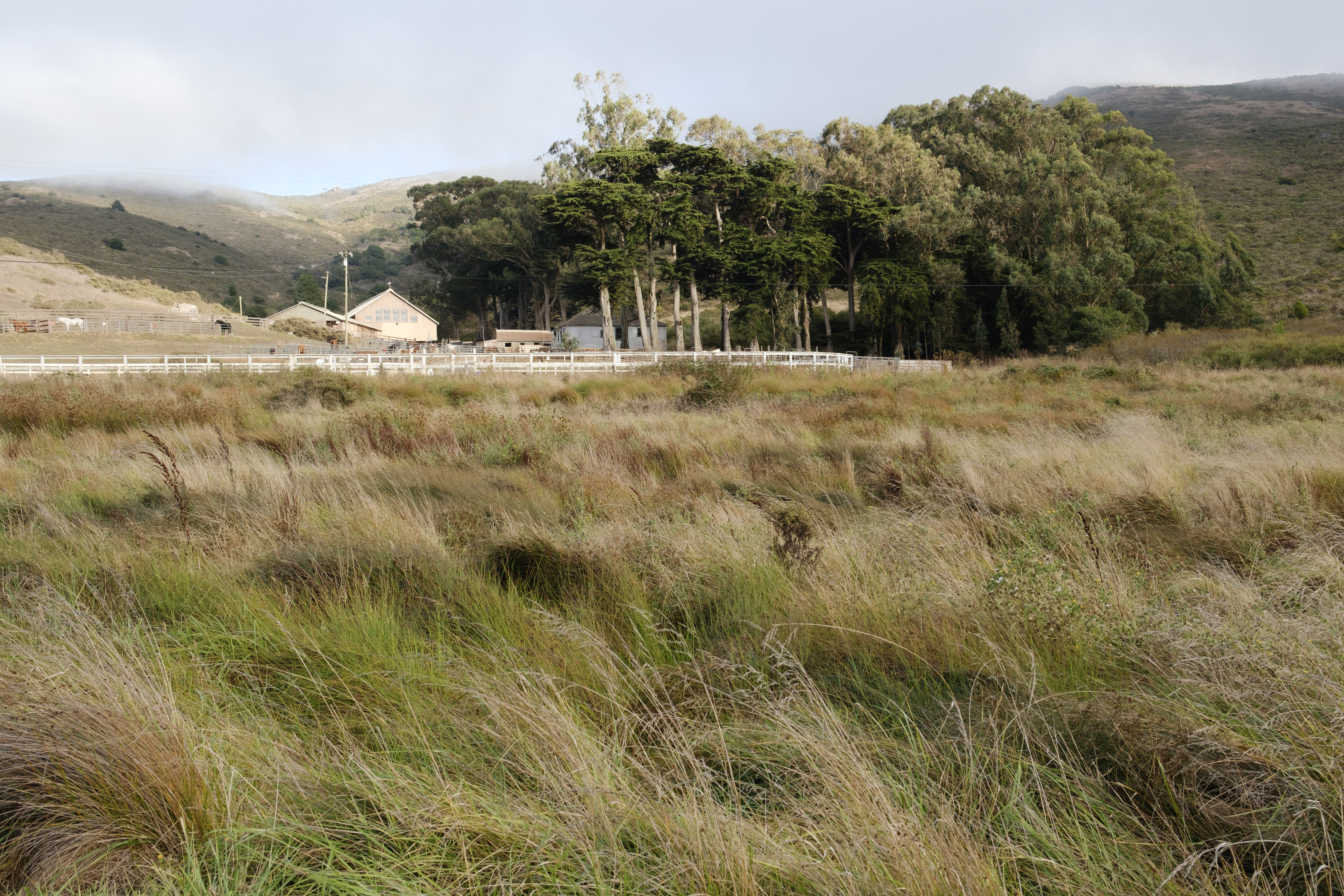 Fog rolling down the hills behind a horse stable and grasses