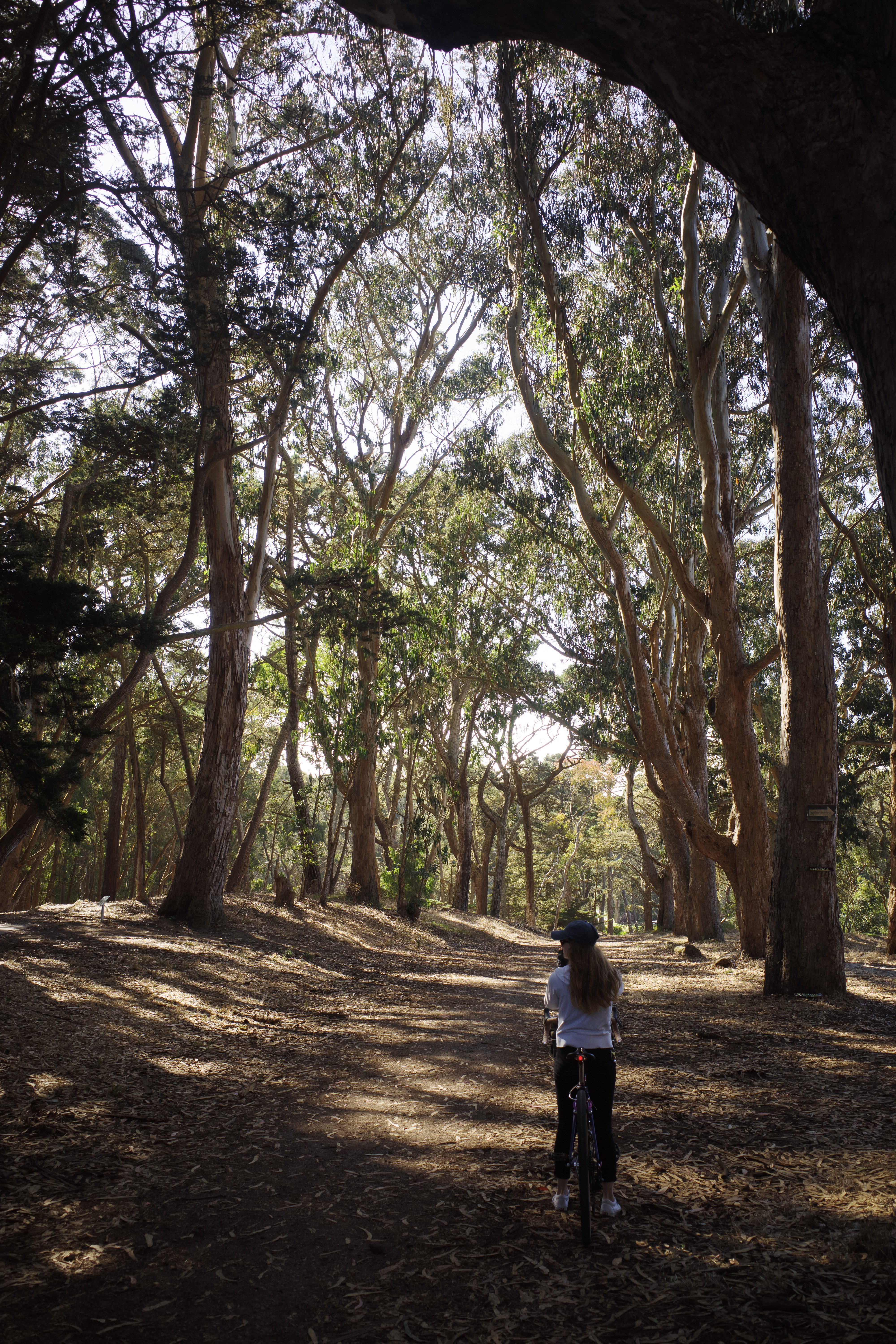 Kat standing over her bike on a dirt trail surrounded by eucalyptus trees creating shadows over the path