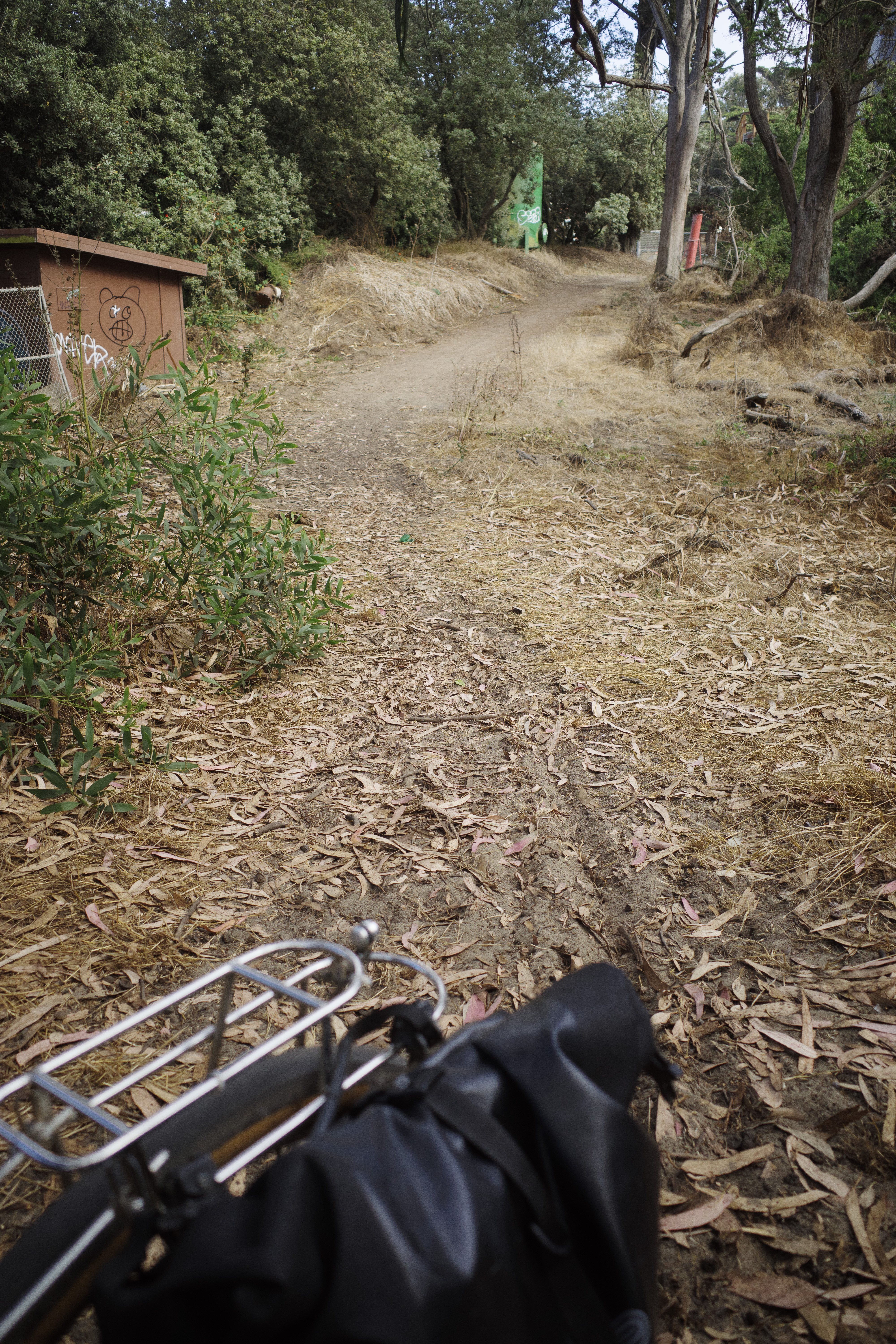 The rear of a bike in front of a track of sand