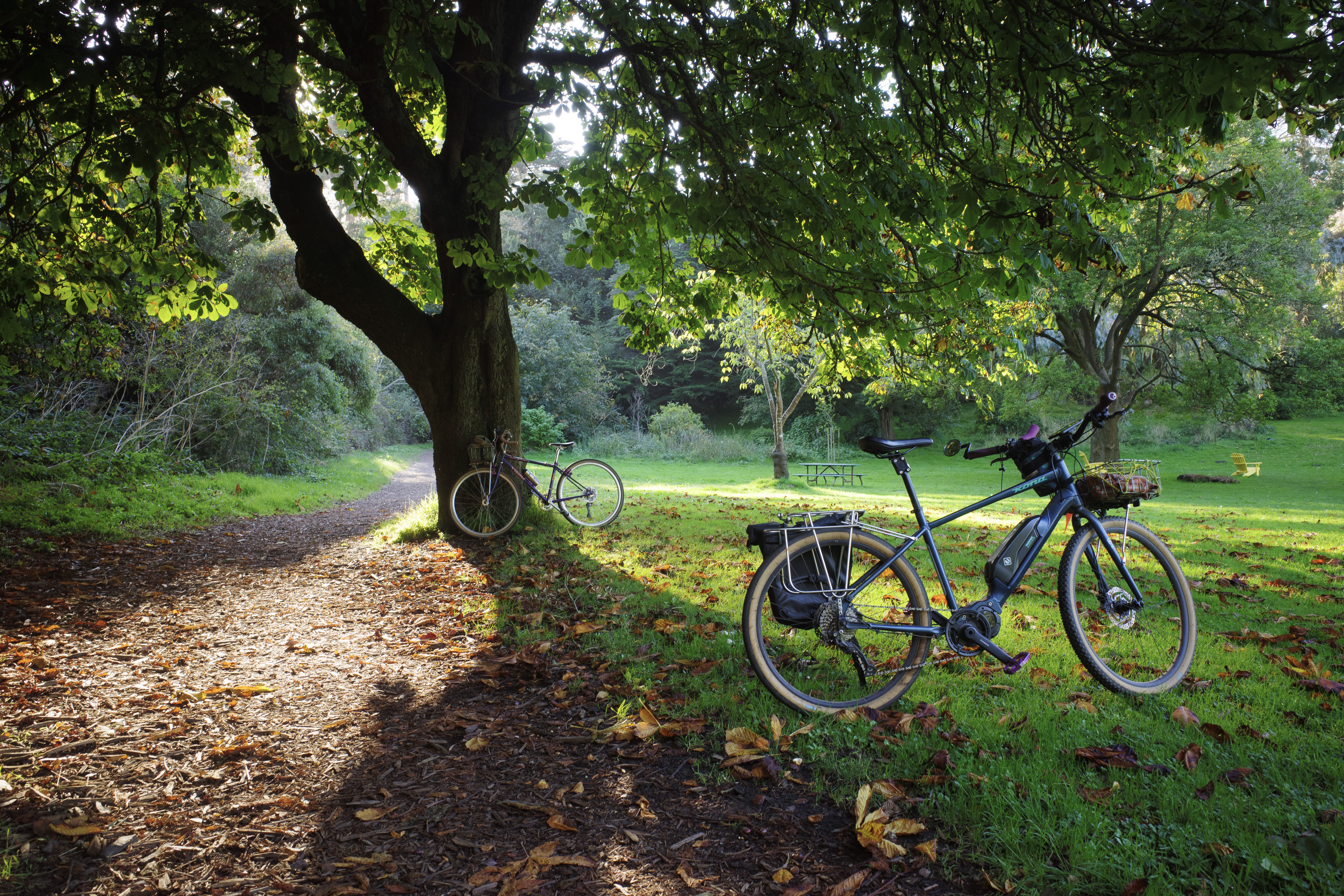 My Kona e-bike and Kat's purple vintage Trek under a large tree