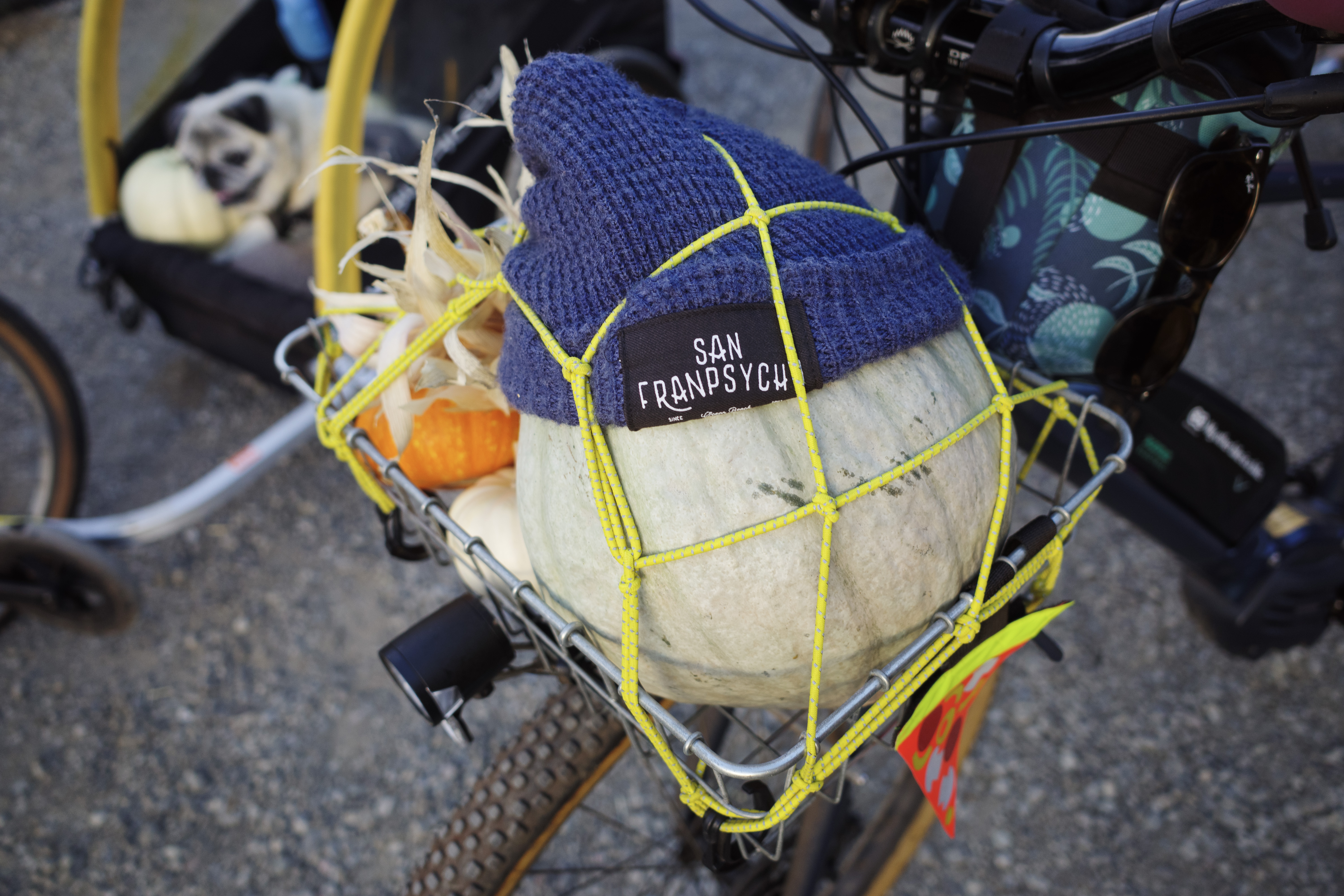 A front basket with a bunch of pumpkins including one big one with a San Franpsycho hat on it.