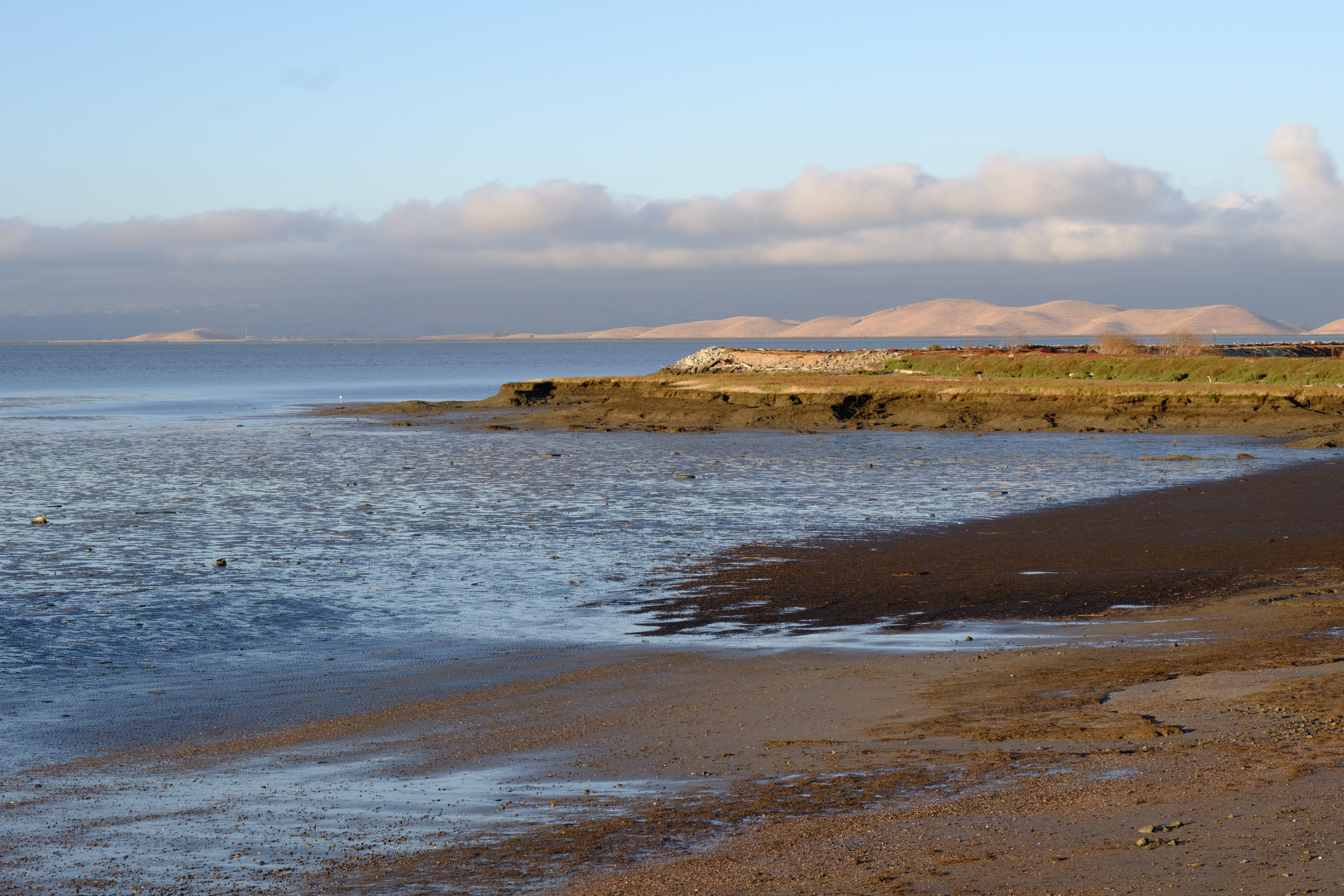 Dark sand with a nearby vista point, water, and Coyote Hills in the background