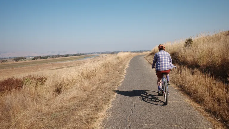 Looking behind a person in a flannel riding their bike on a path between serpentine grass.