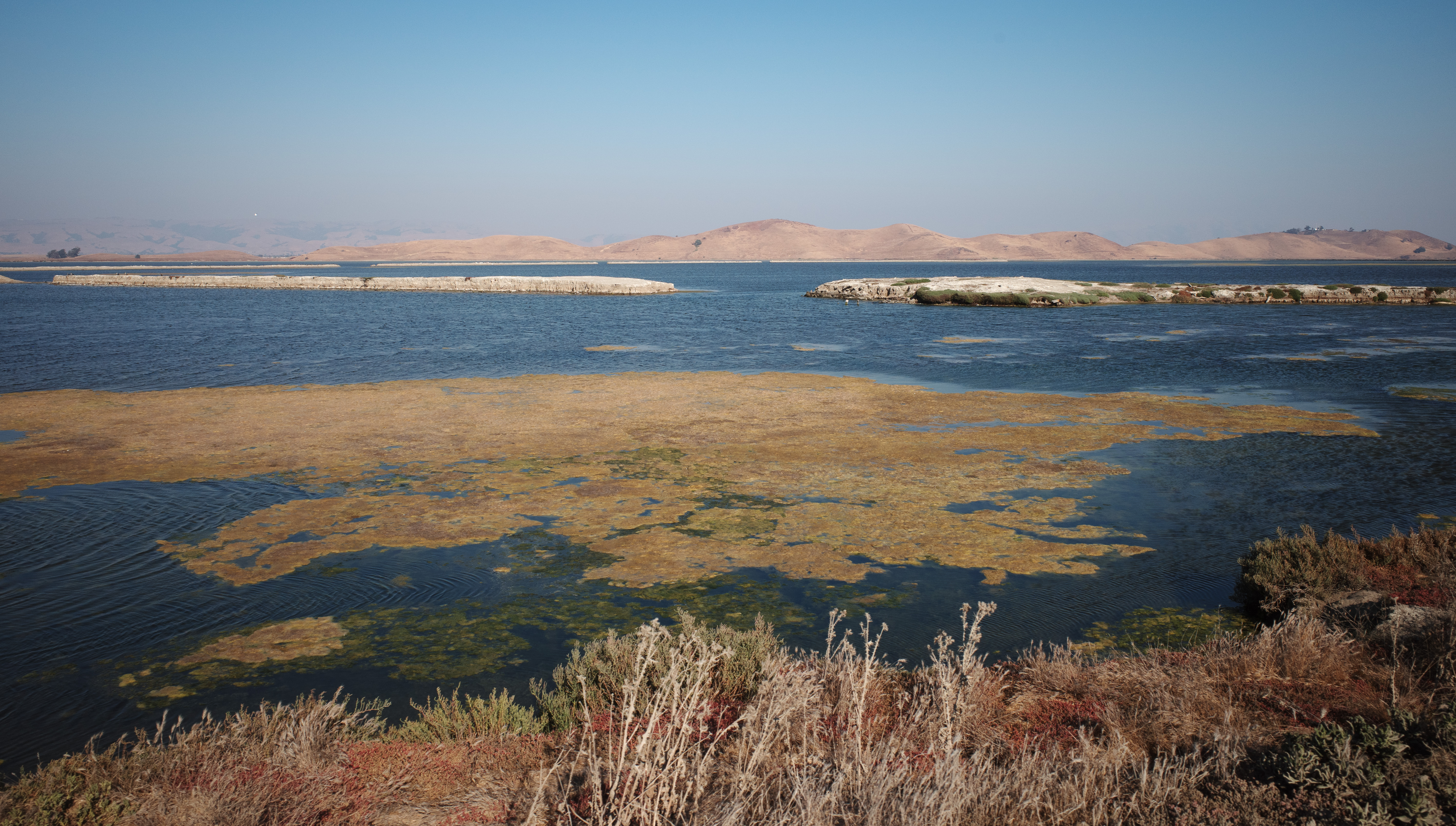 A break in the levee used for salt collection