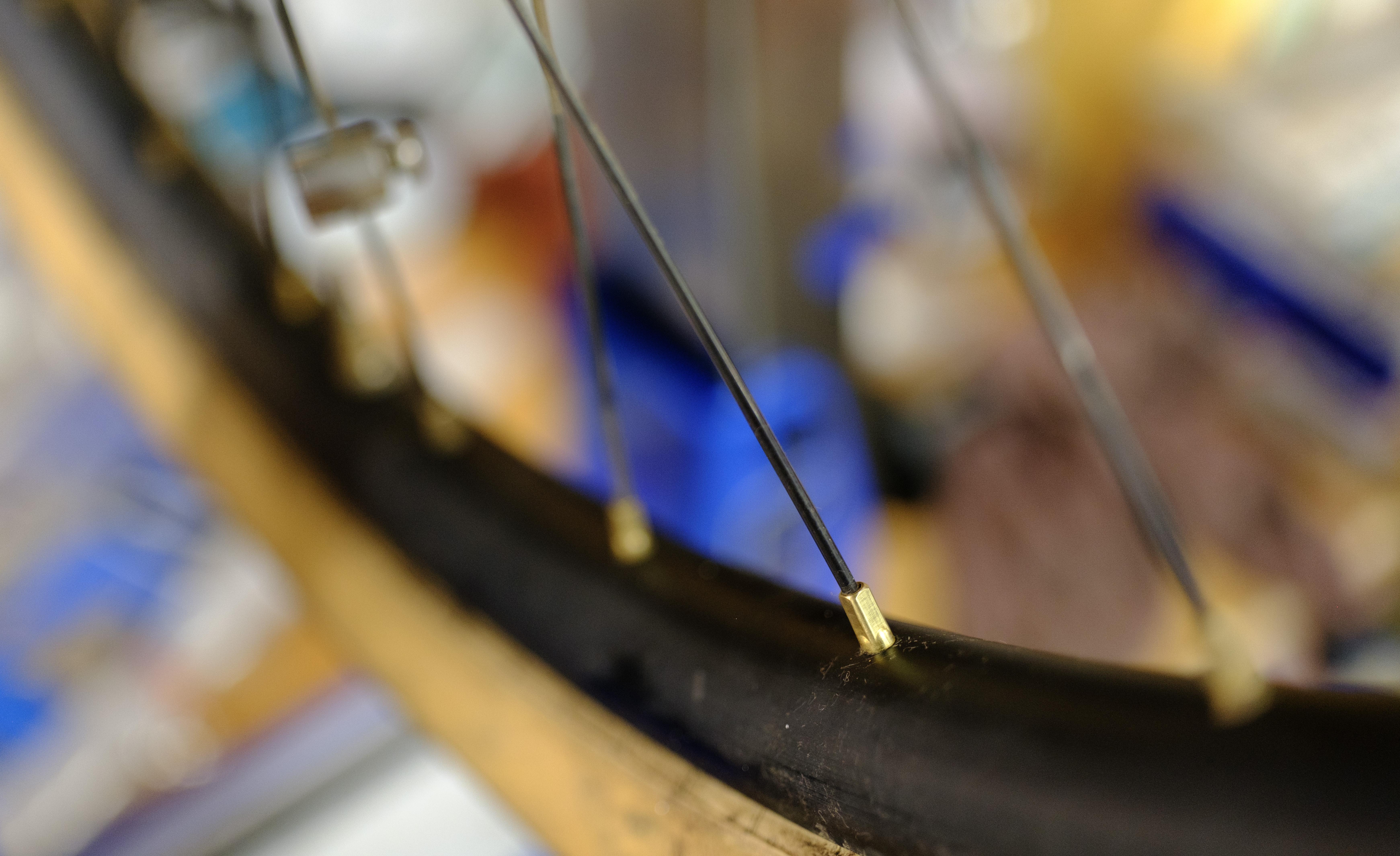 A single black spoke and brass spoke nipple in focus.